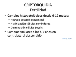 CRIPTORQUIDIA Fertilidad Cambios histopatológicos desde 6-12 meses: Retraso desarrollo germinal Hialinización túbulos seminíferos Disminución células Leydic Cambios similares a los 4-7 años en contralateral descendido  Nelson, 2000 