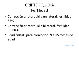 CRIPTORQUIDIA Fertilidad Corrección criptorquidia unilateral, fertilidad 85% Corrección criptorquidia bilateral, fertilidad 50-60% Edad “ideal” para corrección: 9 a 15 meses de edad Nelson, 2000 