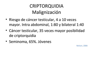 CRIPTORQUIDIA Malignización Riesgo de cáncer testicular, 4 a 10 veces mayor. Intra abdominal, 1:80 y bilateral 1:40 Cáncer testicular, 35 veces mayor posibilidad de criptorquidia Seminoma, 65%. Jóvenes Nelson, 2000 