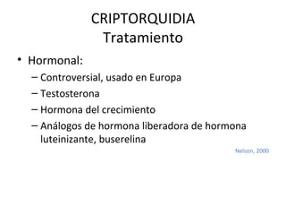 CRIPTORQUIDIA Tratamiento Hormonal: Controversial, usado en Europa Testosterona Hormona del crecimiento Análogos de hormona liberadora de hormona luteinizante, buserelina Nelson, 2000 