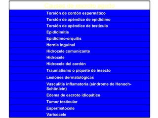 Causas de escroto agudo Torsión de cordón espermático Torsión de apéndice de epidídimo Torsión de apéndice de testículo Epididimitis Epididimo-orquitis Hernia inguinal Hidrocele comunicante Hidrocele Hidrocele del cordón Traumatismo o piquete de insecto Lesiones dermatológicas Vasculitis inflamatoria (síndrome de Henoch-Schönlein) Edema de escroto idiopático Tumor testicular Espermatocele Varicocele 