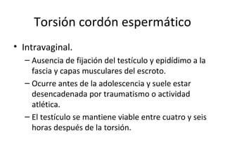 Torsión cordón espermático Intravaginal. Ausencia de fijación del testículo y epidídimo a la fascia y capas musculares del escroto. Ocurre antes de la adolescencia y suele estar desencadenada por traumatismo o actividad atlética. El testículo se mantiene viable entre cuatro y seis horas después de la torsión. 