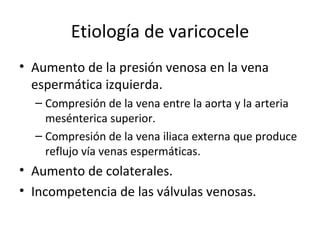 Etiología de varicocele Aumento de la presión venosa en la vena espermática izquierda. Compresión de la vena entre la aorta y la arteria mesénterica superior. Compresión de la vena iliaca externa que produce reflujo vía venas espermáticas. Aumento de colaterales. Incompetencia de las válvulas venosas. 