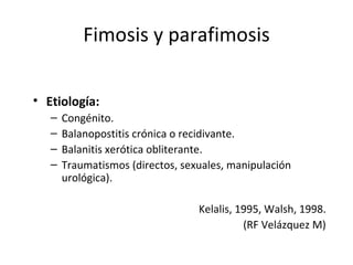 Fimosis y parafimosis Etiología: Congénito. Balanopostitis crónica o recidivante. Balanitis xerótica obliterante. Traumatismos (directos, sexuales, manipulación urológica). Kelalis, 1995, Walsh, 1998. (RF Velázquez M) 