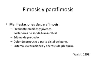 Fimosis y parafimosis Manifestaciones de parafimosis: Frecuente en niños y jóvenes. Portadores de sonda transuretral.  Edema de prepucio. Dolor de prepucio o parte distal del pene. Eritema, excoriaciones y necrosis de prepucio. Walsh, 1998. 