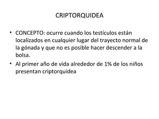 CRIPTORQUIDEA CONCEPTO: ocurre cuando los testículos están localizados en cualquier lugar del trayecto normal de la gónada y que no es posible hacer descender a la bolsa. Al primer año de vida alrededor de 1% de los niños presentan criptorquidea 