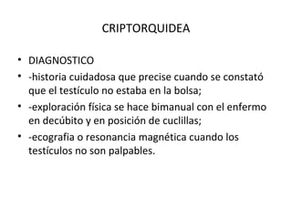 CRIPTORQUIDEA DIAGNOSTICO -historia cuidadosa que precise cuando se constató que el testículo no estaba en la bolsa; -exploración física se hace bimanual con el enfermo en decúbito y en posición de cuclillas; -ecografia o resonancia magnética cuando los testículos no son palpables. 