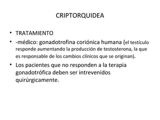 CRIPTORQUIDEA TRATAMIENTO -médico: gonadotrofina coriónica humana ( el testículo responde aumentando la producción de testosterona, la que  es responsable de los cambios clínicos que se originan) . Los pacientes que no responden a la terapia gonadotrófica deben ser intrevenidos quirúrgicamente. 