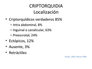 CRIPTORQUIDIA Localización Criptorquídicos verdaderos 85% Intra abdominal, 8% Inguinal o canalicular, 63% Preescrotal, 24% Ectópicos, 12% Ausente, 3% Retráctiles Kelalis, 1985, Nelson 2000 