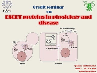 Credit seminar
on
ESCRT proteins in physiology and
disease
Speaker: Sandeep Kumar
Guide : Dr. S. K. Sood
Animal Biochemistry
 