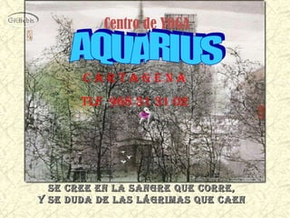 Se cree en la sangre que corre,  y se duda de las lágrimas que caen  Centro de YOGA   AQUARIUS C A R T A G E N A Tlf  968 31 31 02 
