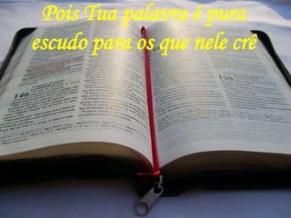 Pois Tua palavra é pura
escudo para os que nele crê
 