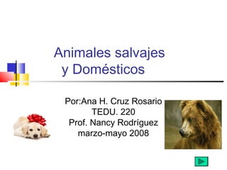 Animales salvajes
y Domésticos
Por:Ana H. Cruz Rosario
TEDU. 220
Prof. Nancy Rodríguez
marzo-mayo 2008
 