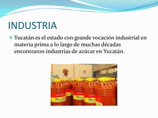 INDUSTRIA
 Yucatán es el estado con grande vocación industrial en
 materia prima a lo largo de muchas décadas
 encontraron industrias de azúcar en Yucatán.
 