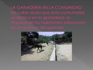 Escuela Oficial Rural Mixta Aldea El Jocote