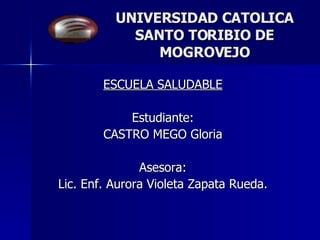 UNIVERSIDAD CATOLICA SANTO TORIBIO DE MOGROVEJO ESCUELA SALUDABLE Estudiante: CASTRO MEGO Gloria Asesora: Lic. Enf. Aurora Violeta Zapata Rueda. 