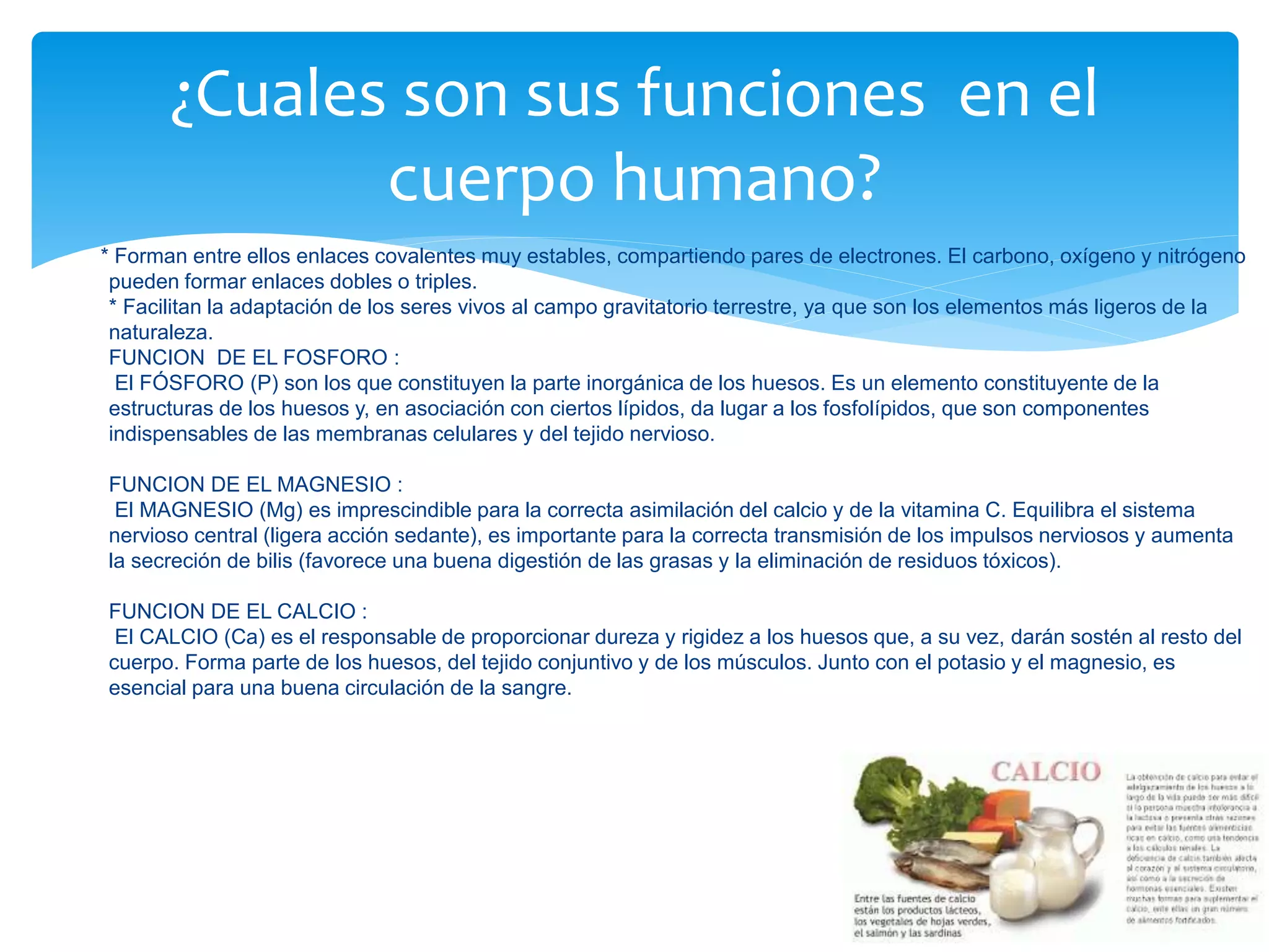 elementos químicos importantes para el cuerpo humano | PPTX