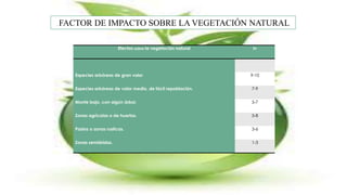 . FACTOR DE IMPACTO SOBRE LA VEGETACIÓN NATURAL
Efectos sobre la vegetación natural Iv
Especies arbóreas de gran valor 9-10
Especies arbóreas de valor medio, de fácil repoblación. 7-9
Monte bajo, con algún árbol. 5-7
Zonas agrícolas o de huertas. 5-8
Pastos o zonas rusticas. 3-6
Zonas semiáridas. 1-3
 