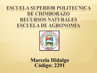 ESCUELA SUPERIOR POLITECNICA
DE CHIMBORAZO
RECURSOS NATURALES
ESCUELA DE AGRONOMIA
Marcela Hidalgo
Código: 2291
 