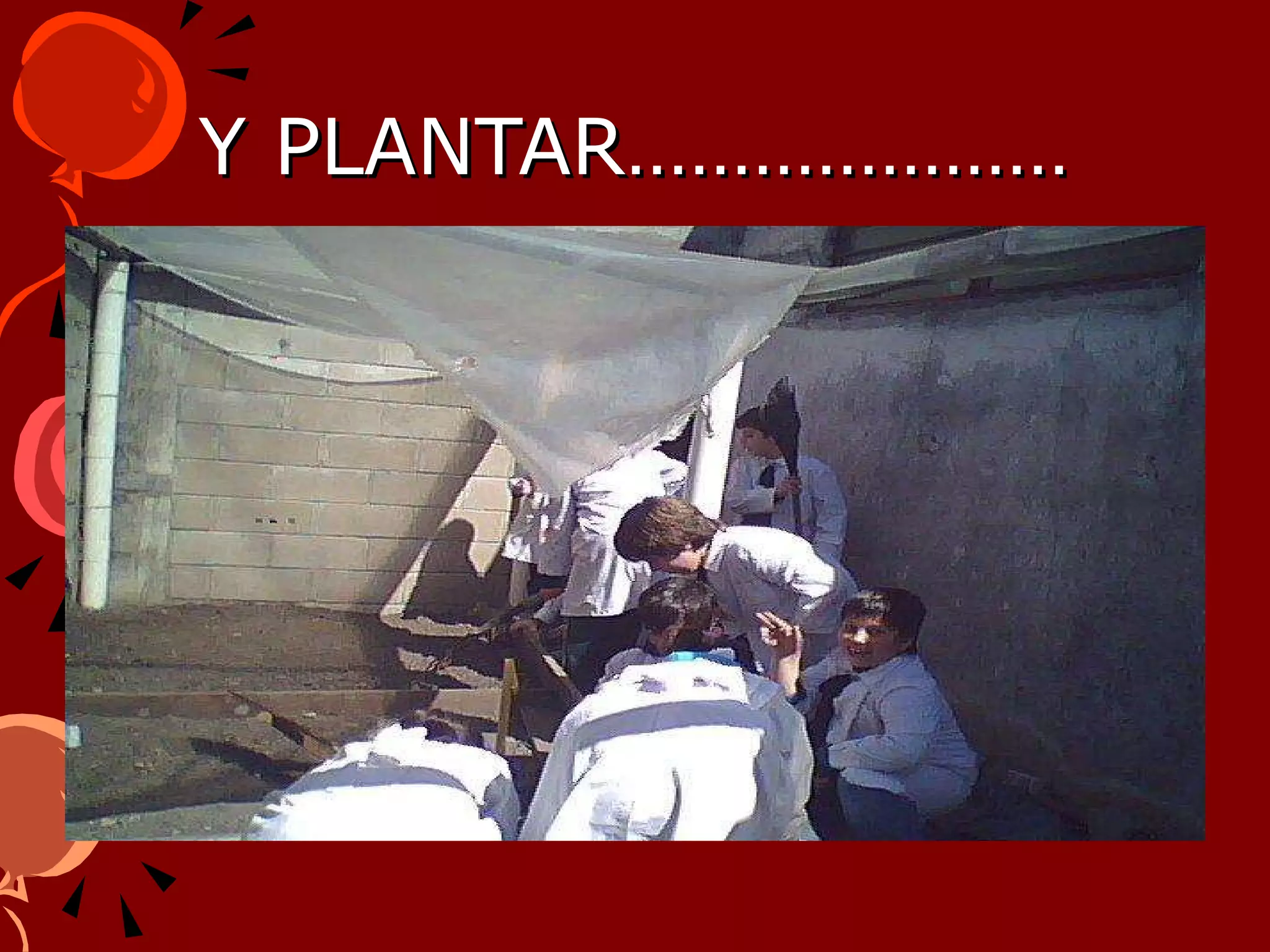 Y PLANTAR…………………