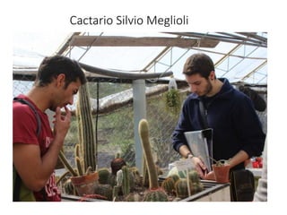 Cactario Silvio Meglioli
 