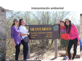 Interpretación ambiental
 