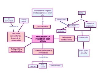 PRINCIPIOS DE LA
PEDAGOGÍA DE LA
ACCIÓN
intelectuales
anímicas
niño
Facultades
El desarrollo
Autogestión y
autodisciplina
Potencias
especiales
Educación
comunitaria a
través de la
cooperación
Orientación integral y
polifacética
Autoactividad
Orientación
Paidocéntrica
Trabajo
común
conocimientos
Vida
social
Carácter
Actividad que surge de
modo espontáneo en el
niño
La
comunidad
Formación de
Al servicio de
es
del
de
Debe partir
del niño
 