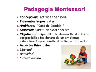 Pedagogía Montessori
 Concepción: Actividad Sensorial
 Elementos Importantes:
1. Ambiente: “Casa de Bambini”
2. Material: Sustitución del docente
 Objetivo principal: El niño desarrolle al máximo
sus posibilidades dentro de un ambiente
estructurado que resulte atractivo y motivador.
 Aspectos Principales
1. Libertad
2. Actividad
3. Individualismo
 