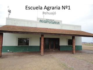Escuela Agraria Nº1 Pehuajó 