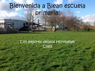 Bienvenida a Blean escuela
primaria!
Los mejores deseos Hornbeam
Class
 