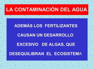 ADEMÁS LOS  FERTILIZANTES  CAUSAN UN DESARROLLO  EXCESIVO  DE ALGAS, QUE  DESEQUILIBRAN  EL  ECOSISTEM A .  .  