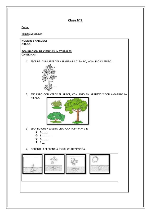 Secuencia Didactica De Ciencias Naturales