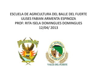 ESCUELA DE AGRICULTURA DEL BALLE DEL FUERTE
      ULISES FABIAN ARMENTA ESPINOZA
   PROF: RITA ISELA DOMINGUES DOMINGUES
                  12/04/ 2013
 