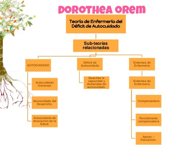 Teoria Del Autocuidado De Dorothea Orem Epub