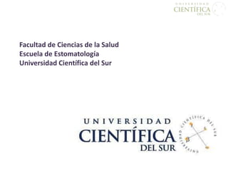 Facultad de Ciencias de la Salud
Escuela de Estomatología
Universidad Científica del Sur
 