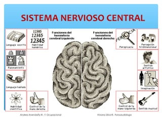SISTEMA NERVIOSO CENTRAL




Andrea Avendaño R.- T. Ocupacional   Viviana Silva R.- Fonoaudióloga
 