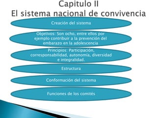 Creación del sistema
Objetivos: Son ocho, entre ellos por
ejemplo contribuir a la prevención del
embarazo en la adolescencia
Principios: Participación,
corresponsabilidad, autonomía, diversidad
e integralidad.
Estructura
Conformación del sistema
Funciones de los comités
 