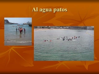 Al agua patos