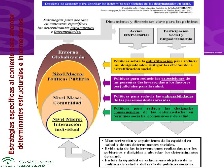 Determinantes sociales de Salud Julia Bolívar Muñoz