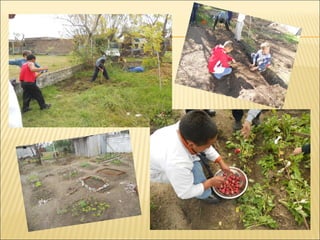 Escuela especial nº 136