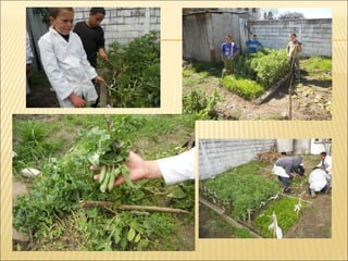 Escuela especial nº 136