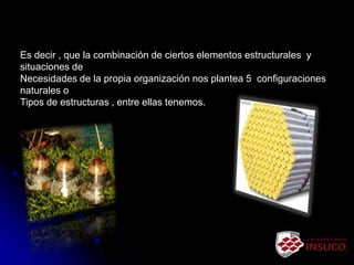 Es decir , que la combinación de ciertos elementos estructurales y
situaciones de
Necesidades de la propia organización nos plantea 5 configuraciones
naturales o
Tipos de estructuras , entre ellas tenemos.
 