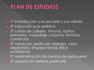    1º introducción a la escuela y sus valores
   2º inducción a la estética
   3º cortes de cabello, tinturas, rayitos,
    peinados, maquillaje corporal, fantasía,
    comercial.
   4º manicure, pedicura, masajes, cera
    depilatoria, limpieza facial, ética
    profesional
   5º administración de centros de peluquería
   6º asesoría en belleza particular
 