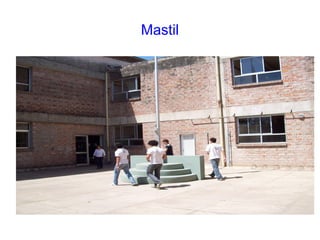 Mastil
