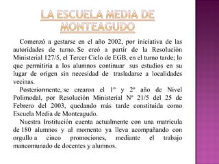 Comenzó a gestarse en el año 2002, por iniciativa de las
autoridades de turno. Se creó a partir de la Resolución
Ministerial 127/5, el Tercer Ciclo de EGB, en el turno tarde; lo
que permitiría a los alumnos continuar sus estudios en su
lugar de origen sin necesidad de trasladarse a localidades
vecinas.
Posteriormente, se crearon el 1º y 2º año de Nivel
Polimodal, por Resolución Ministerial Nº 21/5 del 25 de
Febrero del 2003, quedando más tarde constituida como
Escuela Media de Monteagudo.
Nuestra Institución cuenta actualmente con una matrícula
de 180 alumnos y al momento ya lleva acompañando con
orgullo a cinco promociones, mediante el trabajo
mancomunado de docentes y alumnos.          
 
