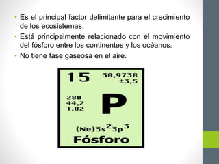• Es el principal factor delimitante para el crecimiento
de los ecosistemas.
• Está principalmente relacionado con el movimiento
del fósforo entre los continentes y los océanos.
• No tiene fase gaseosa en el aire.