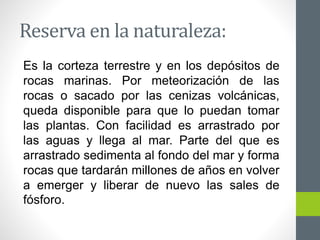 Reserva en la naturaleza:
Es la corteza terrestre y en los depósitos de
rocas marinas. Por meteorización de las
rocas o sacado por las cenizas volcánicas,
queda disponible para que lo puedan tomar
las plantas. Con facilidad es arrastrado por
las aguas y llega al mar. Parte del que es
arrastrado sedimenta al fondo del mar y forma
rocas que tardarán millones de años en volver
a emerger y liberar de nuevo las sales de
fósforo.