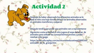 Actividad 2
Después de haber observado los diferentes animales se le
dará al niño una hoja donde ubicara los animales observados
en animales mamíferos y ovíparos
Después tendrá que poner que animales van a representarse
Siguiente a esta actividad el niño jugara el sopa de letras de
animales para utilizar los conocimientos previos y poder
resolver este juego
https://www.educaplay.com/es/recursoseducativos/2889266/
animales_de_la_granja.htm
 