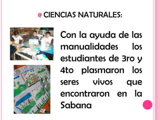 CIENCIAS NATURALES:

    Con la ayuda de las
    manualidades los
    estudiantes de 3ro y
    4to plasmaron los
    seres vivos que
    encontraron en la
    Sabana
 