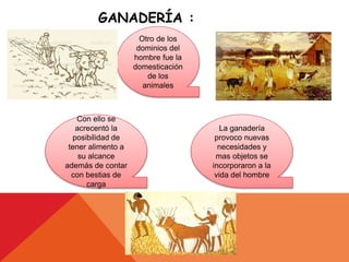 GANADERÍA :
Otro de los
dominios del
hombre fue la
domesticación
de los
animales
Con ello se
acrecentó la
posibilidad de
tener alimento a
su alcance
además de contar
con bestias de
carga
La ganadería
provoco nuevas
necesidades y
mas objetos se
incorporaron a la
vida del hombre
 